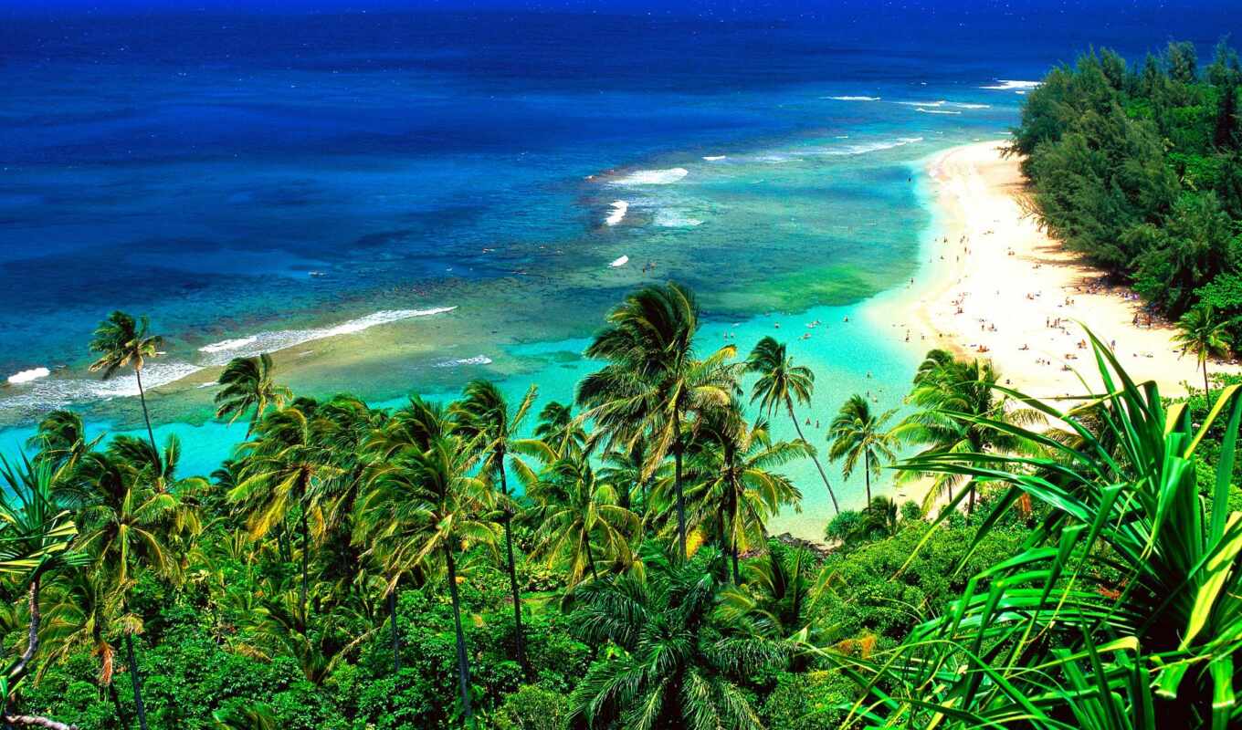 пляж, hawaii