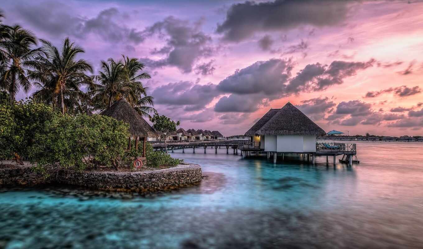 club, остров, maldives, persona, oir, gratum