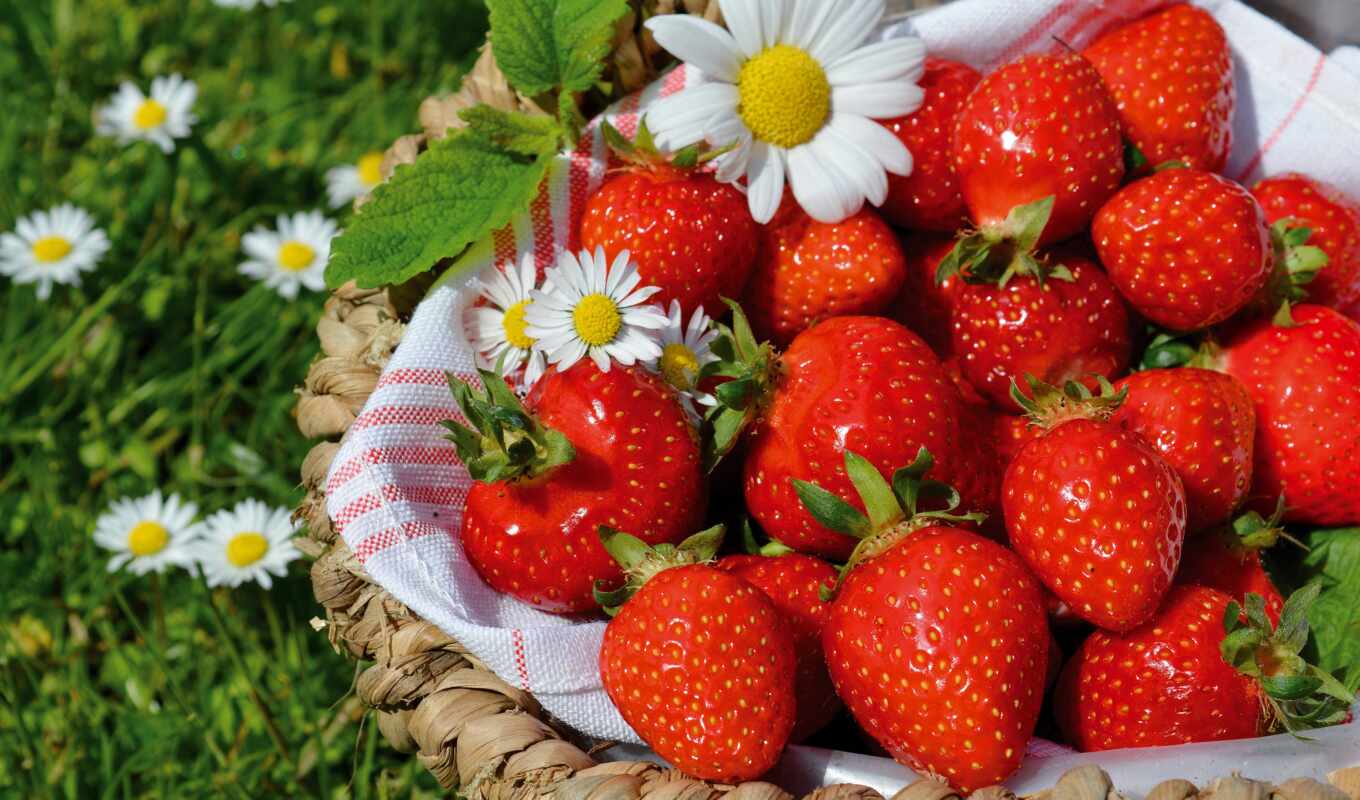 meal, summer, tablet, fresh, pixel, basket, strawberry, chamomile, berry, harvest