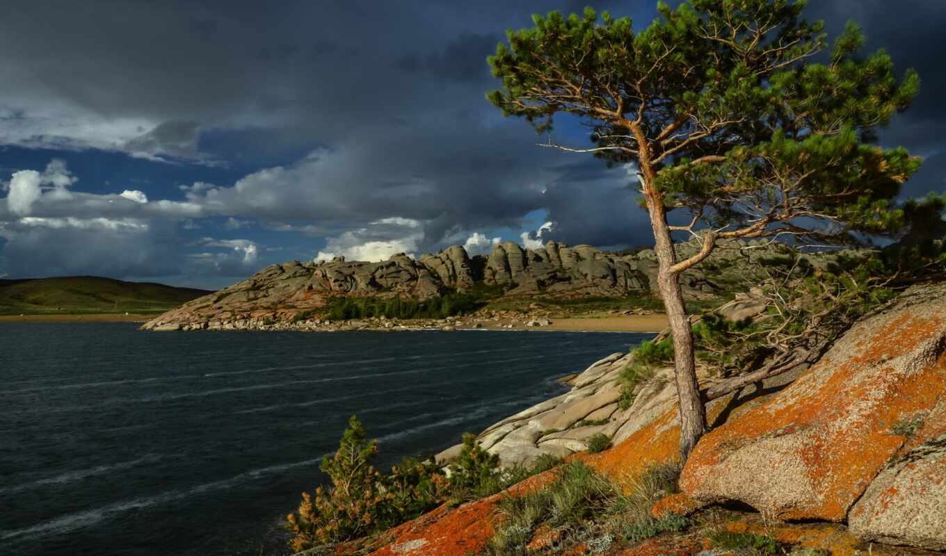 озеро, pine, казахстан, toraigyr
