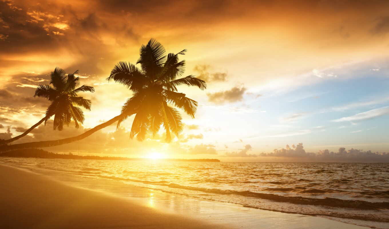 sun, пляж, rising