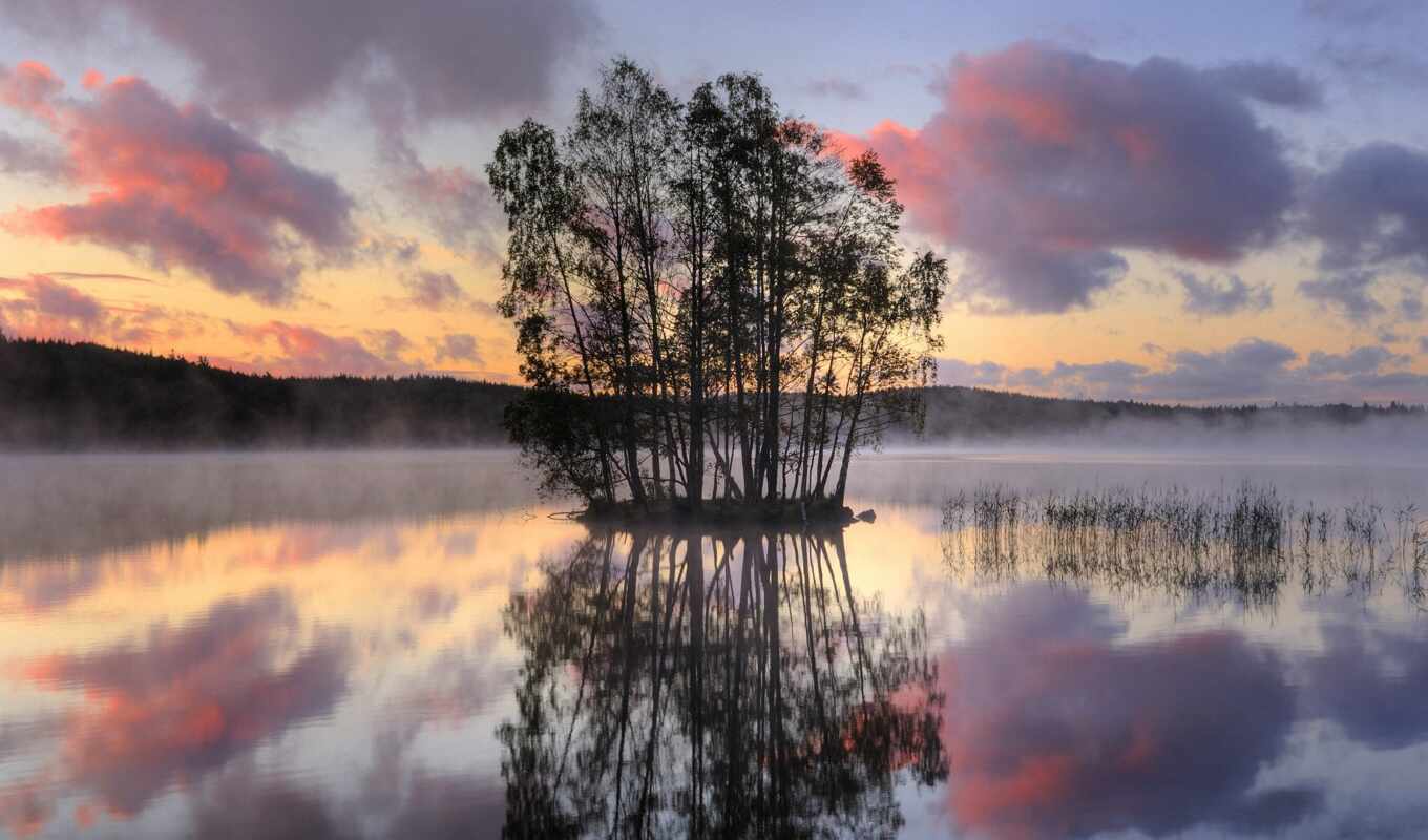 озеро, landscape, views, остров, розовый, middle, ан, trees, sweden, mist