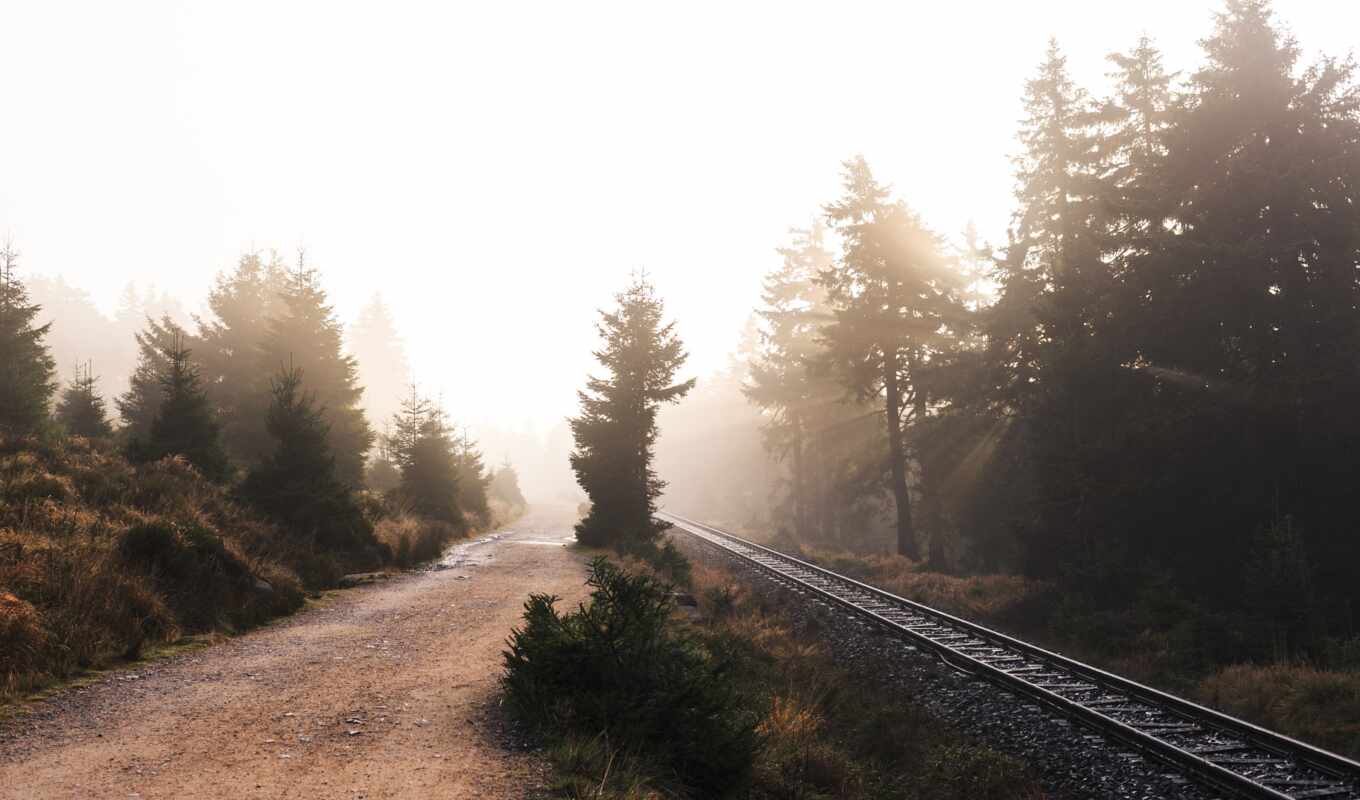 nature, sun, tree, morning, fog, nature, ray, railroad, fog, iron, dorogoi