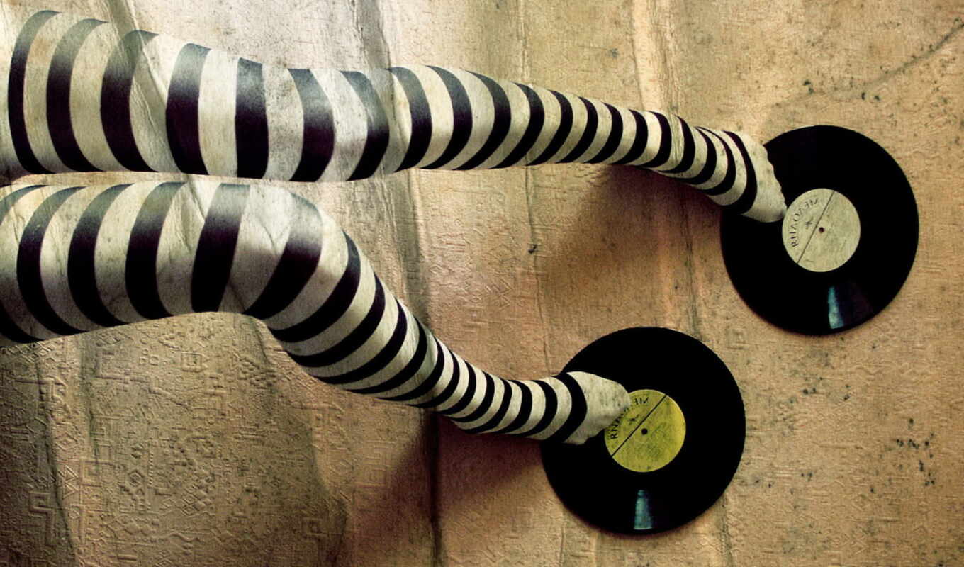 house, stripes, legs, vinyl, fashion, invisible, creative, records, leggings, ♪