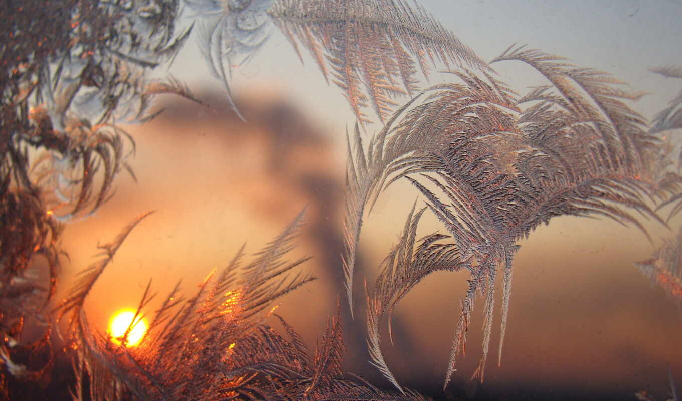 patterns, window, frost, sunrise, winter, winter, glass, different