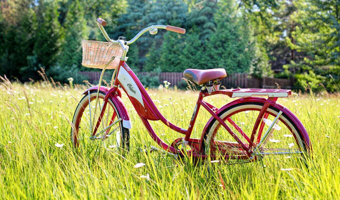 mobile, summer, vintage, bicycle, smartphone, mordoviya, bicicle