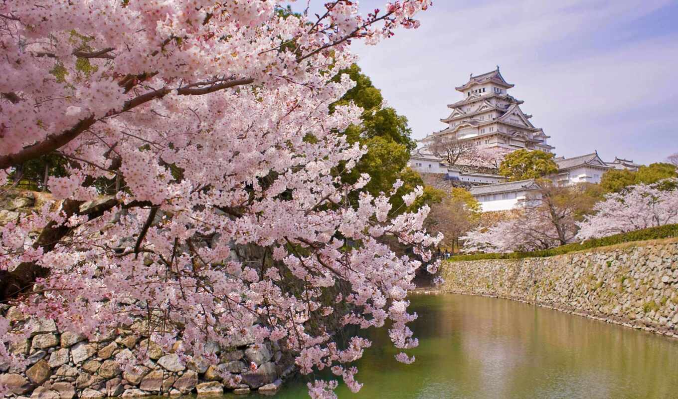 castle, japanese, весна, himedz