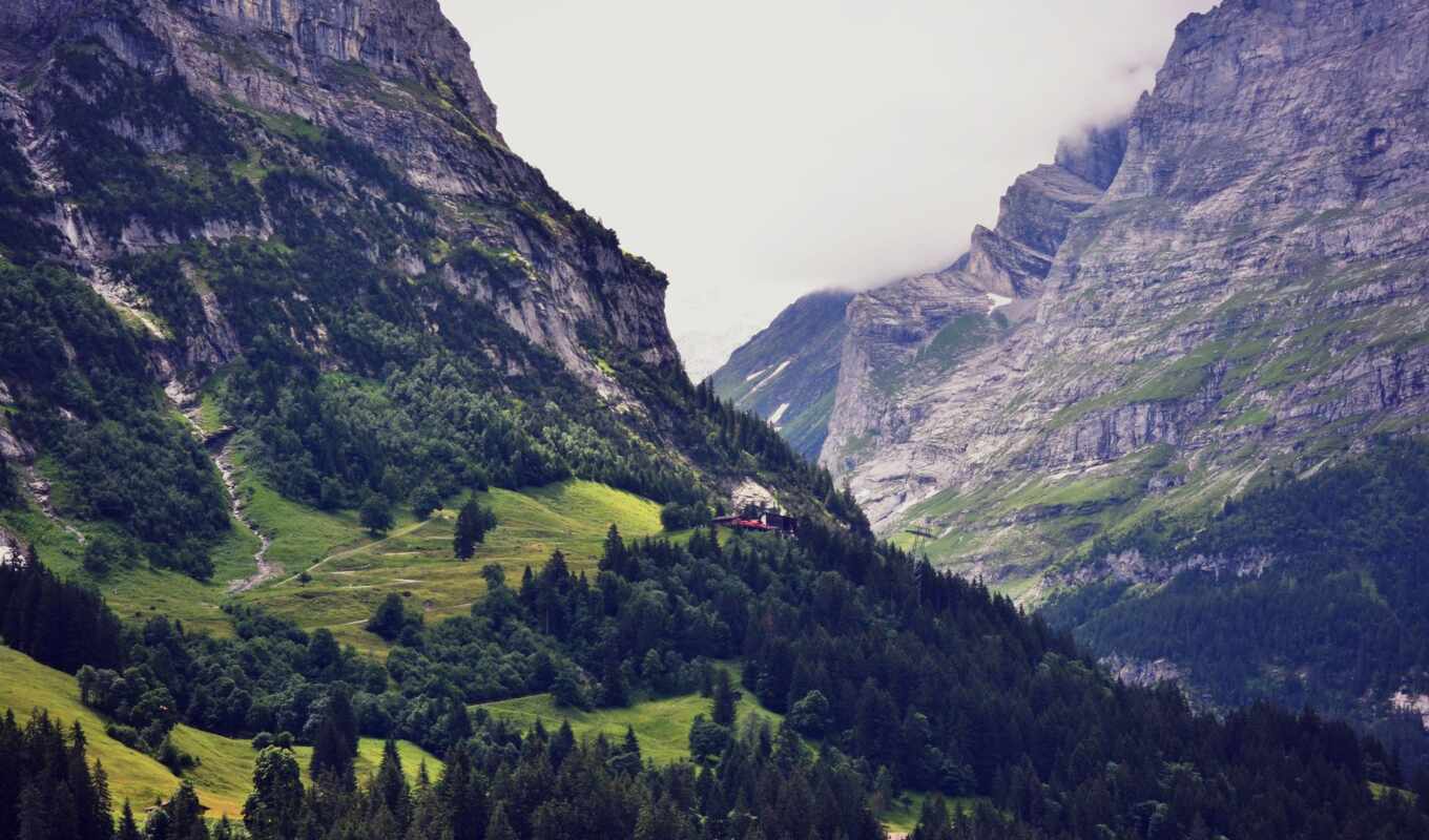 природа, high, лес, гора, swiss, mountains, швейцария, горы