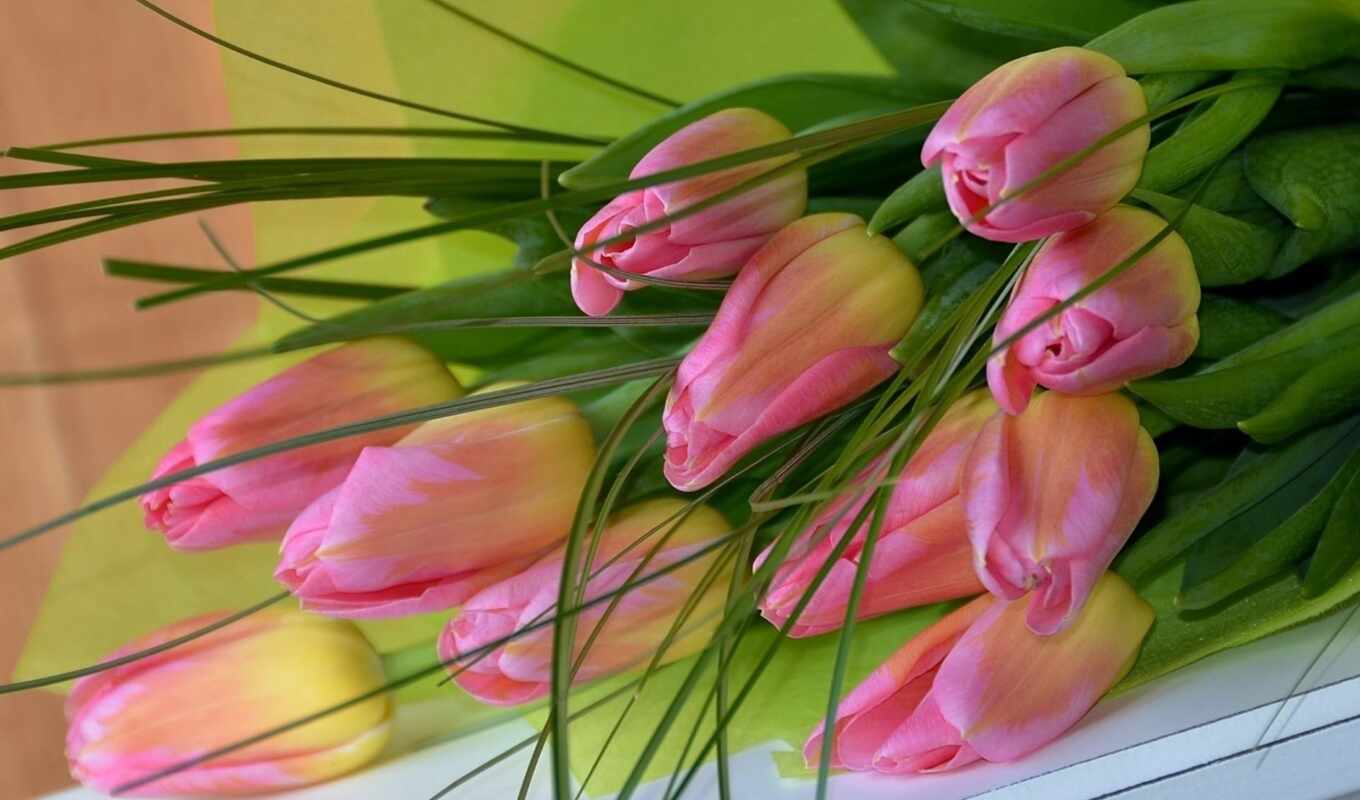 flowers, red, pink, Vkontakte, tulips, bouquet, pink