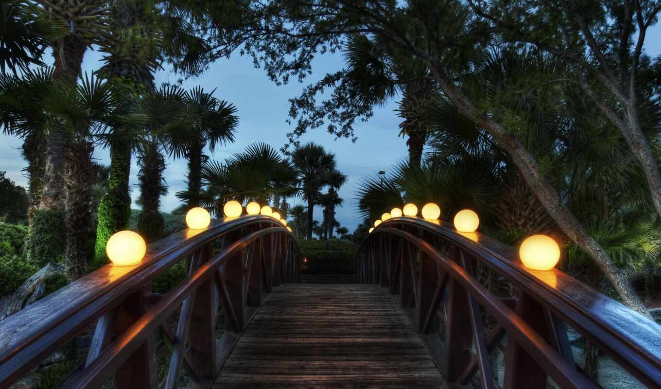 улица, лес, вечер, мост, japanese, пальмы, высоком, trees, kyoto, фонари