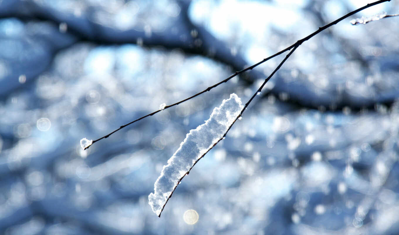 desktop, изображение, лед, снег, winter, branch