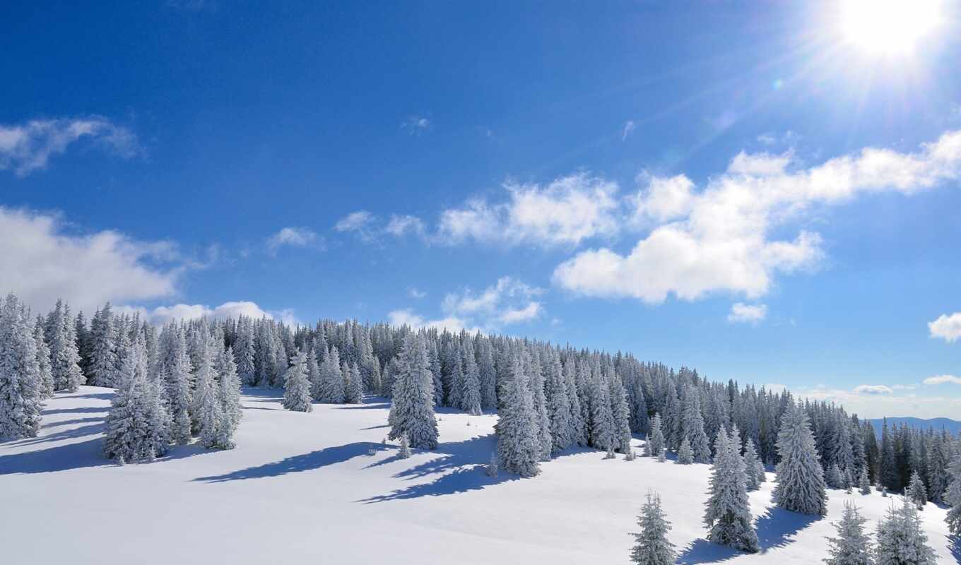 winter, меня, fond, paysage, everything, montagne, neige, sapins, enneigés