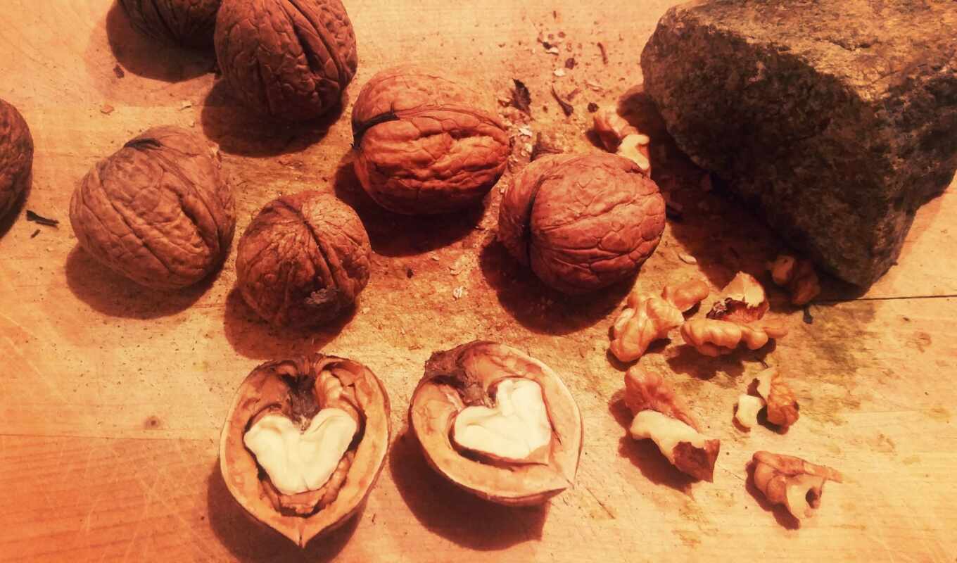 ipad, shell, air, beautiful, meal, nut, greek nuts