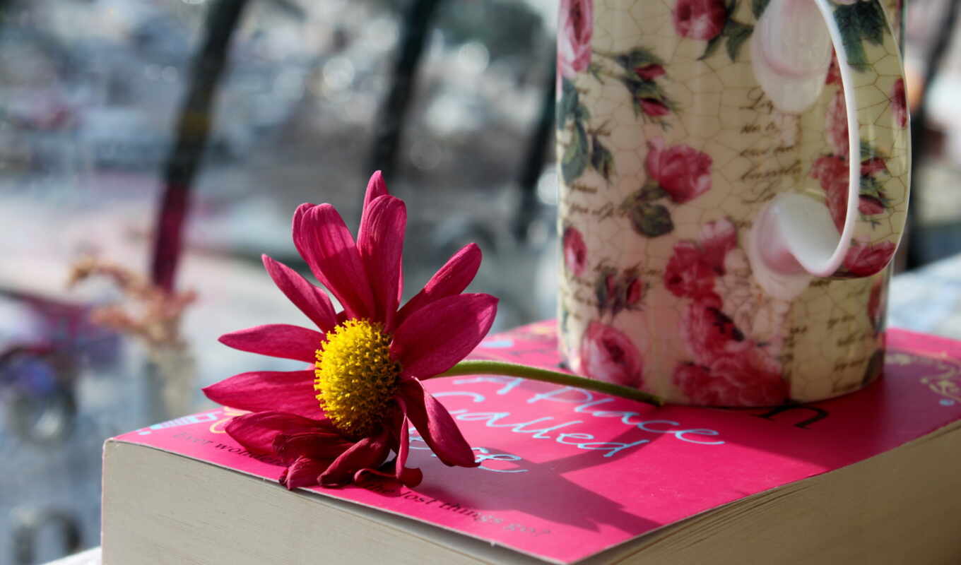 цветы, книга, розовые, cup, кружка, лепестки