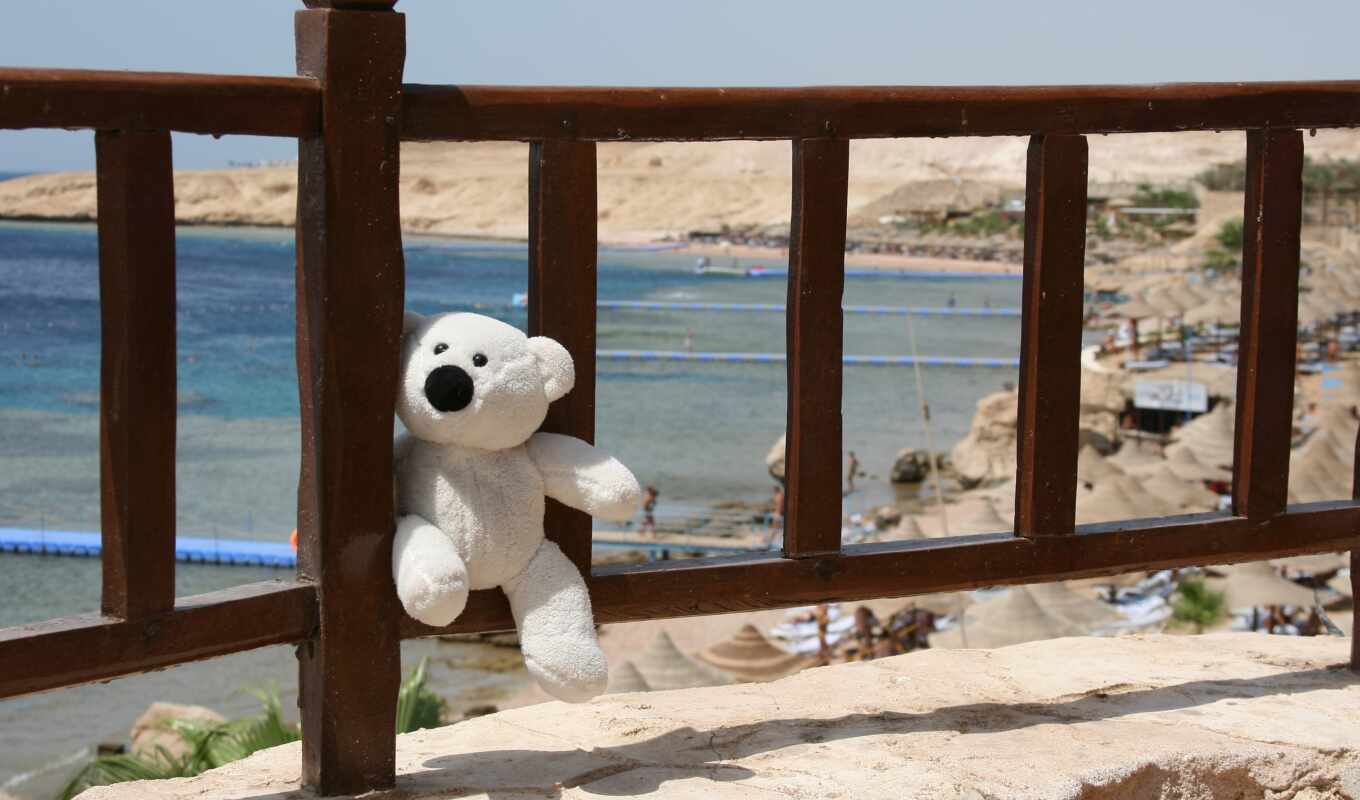 море, берег, улыбка, отдых, медведь, настроение, toy, египетский, мишка