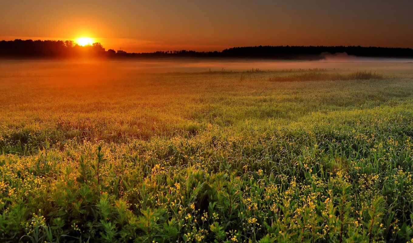nature, sun, sunset, sunrise, field, sound, morning, fog, lavender, wetlands