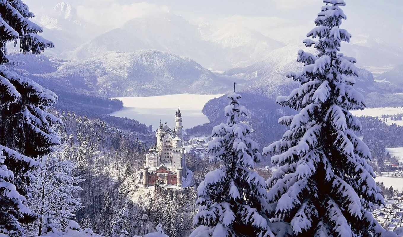 tree, snow, winter, mountain, castle