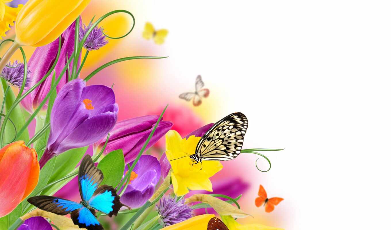 природа, цветы, бабочка, фотоколлаж