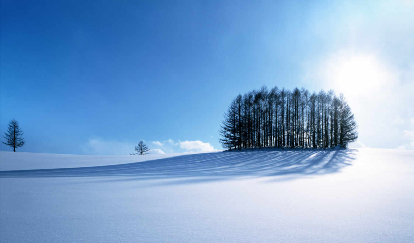 winter, forest, landscape, screensavers, яndex, winter, in the middle, grove, margin