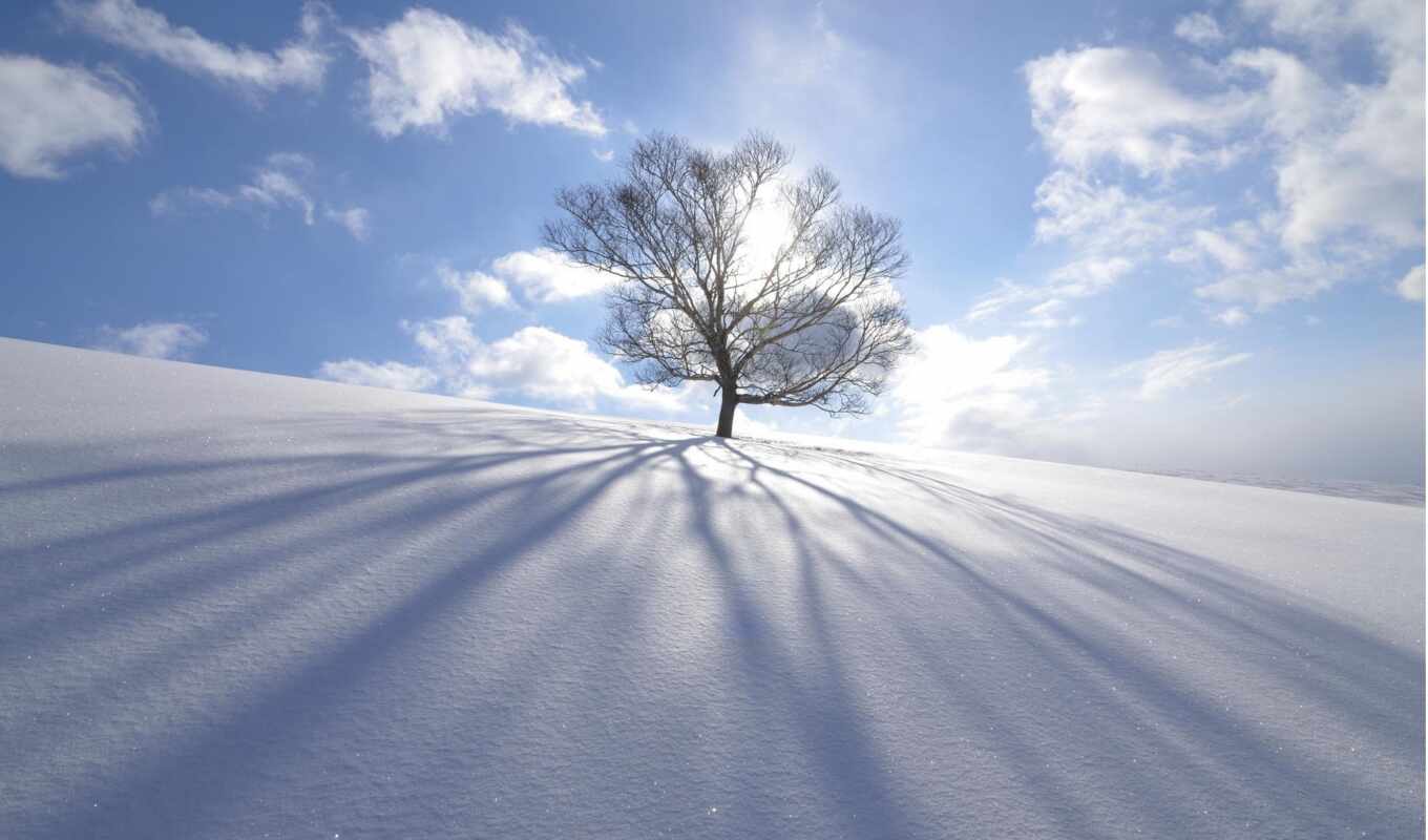 природа, небо, sun, дерево, снег, winter, con, кинотеатр, одинокий