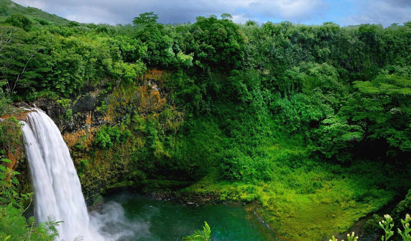 nature, trees, forest, waterfall, vegetation