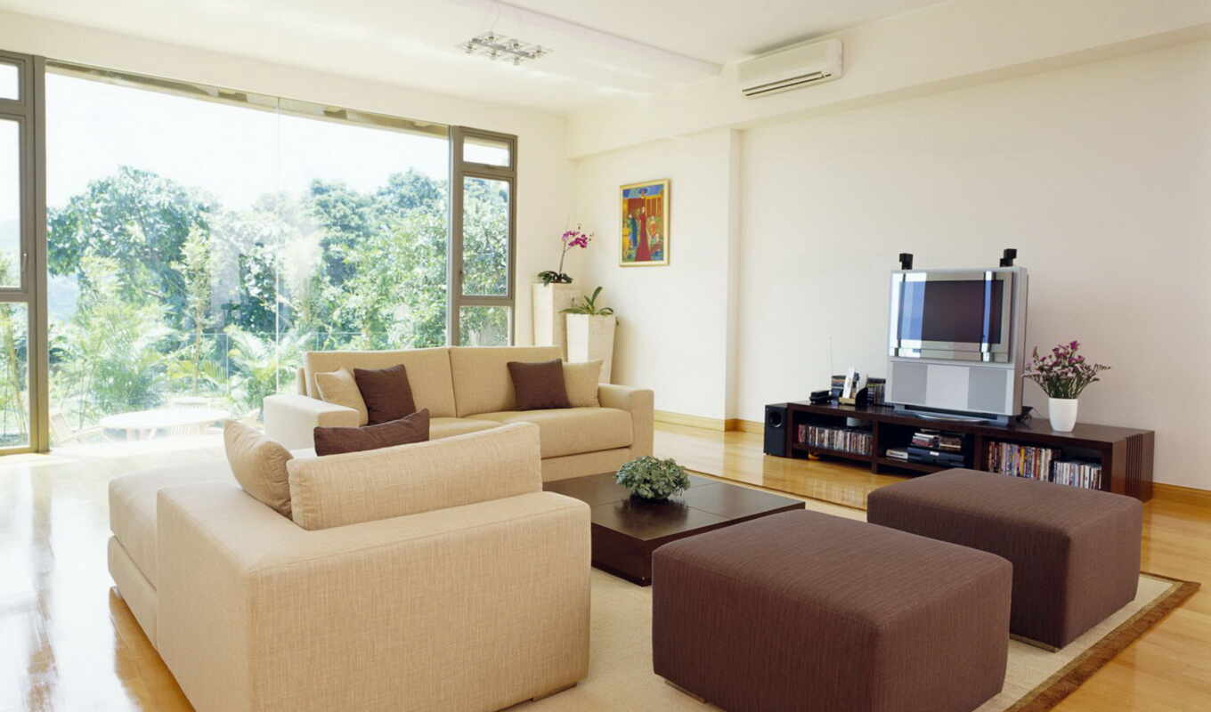 room, window, armchair, sofa, interior, flat, living room
