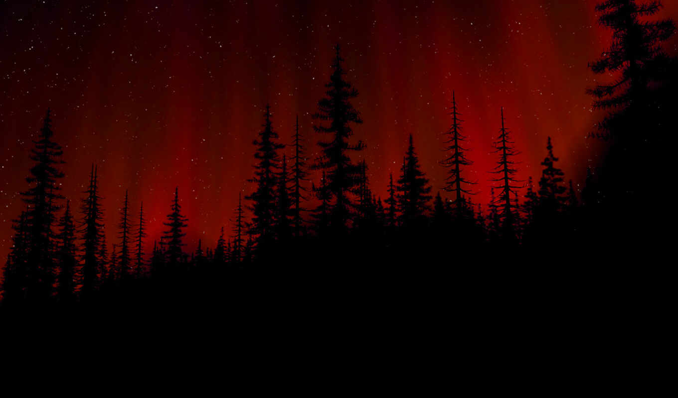 black, red, ночь, лес, images, tumblr, dark, малиновый