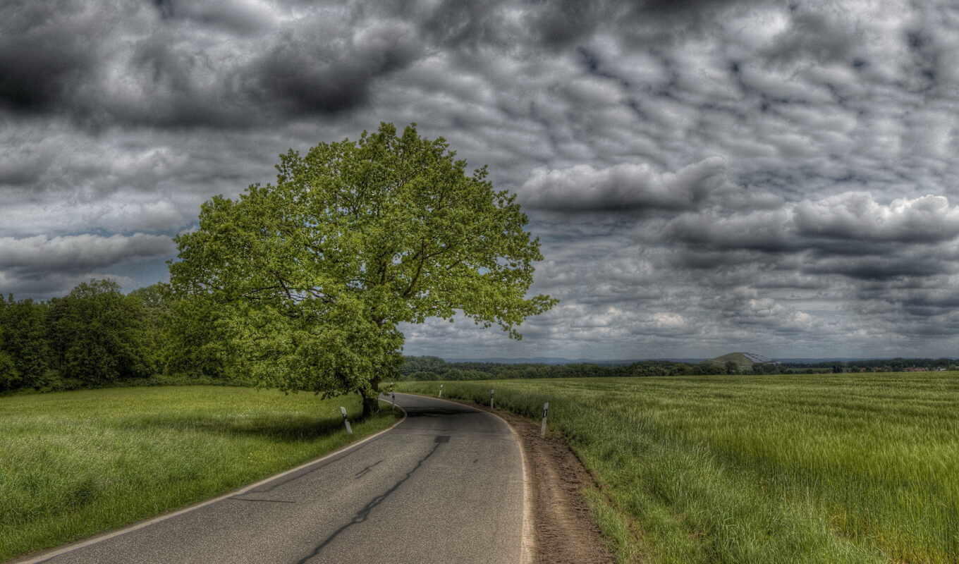 sky, tree, road, field, x-ray, backgrounds, lightning bolts, clouds