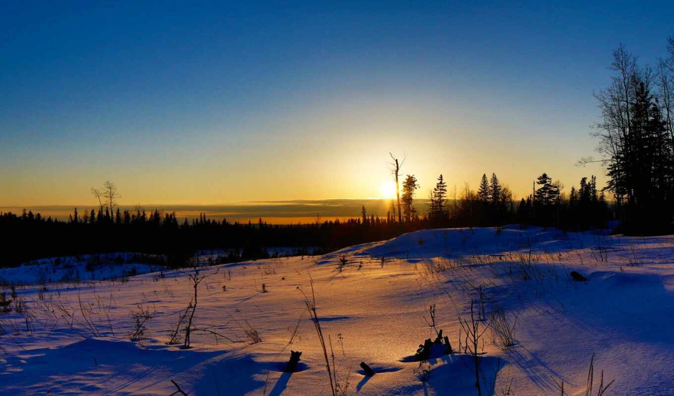 tree, sunset, snow, sandbox, winter, field, lyric