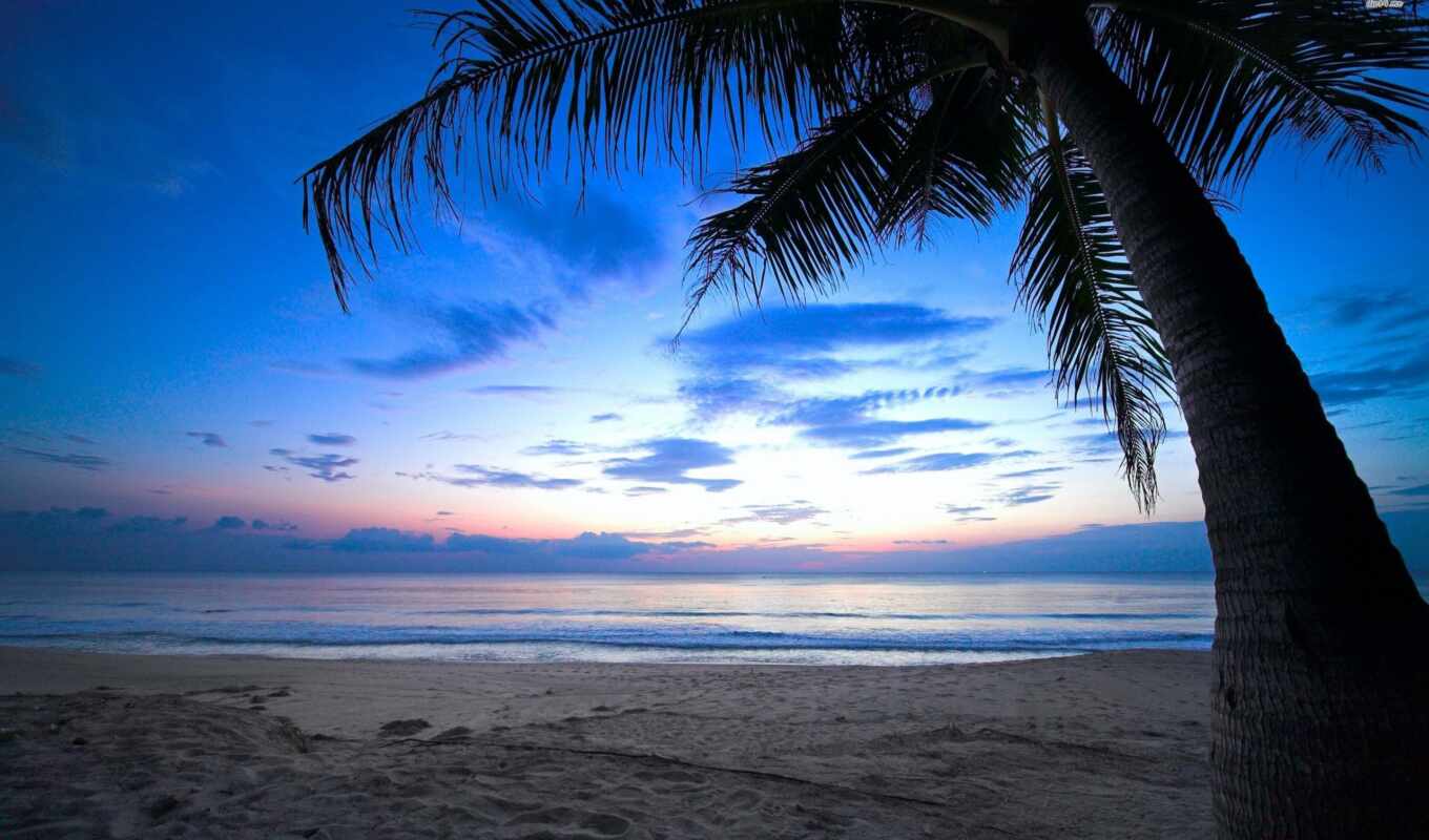 background, beach, caribbean, for, screen, caribe, free
