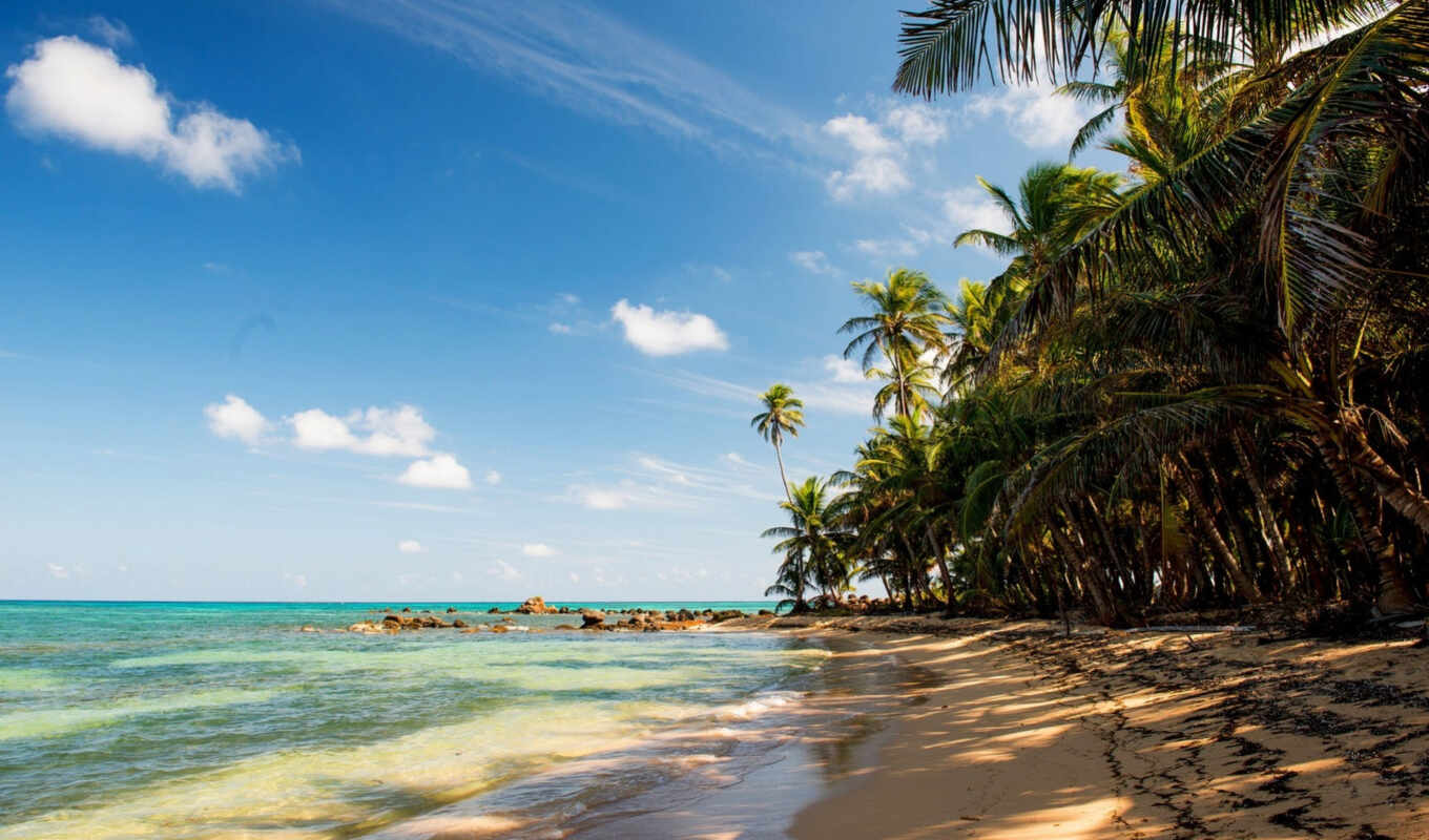 пляж, море, песок, пальмы, palm, tropical, tropics