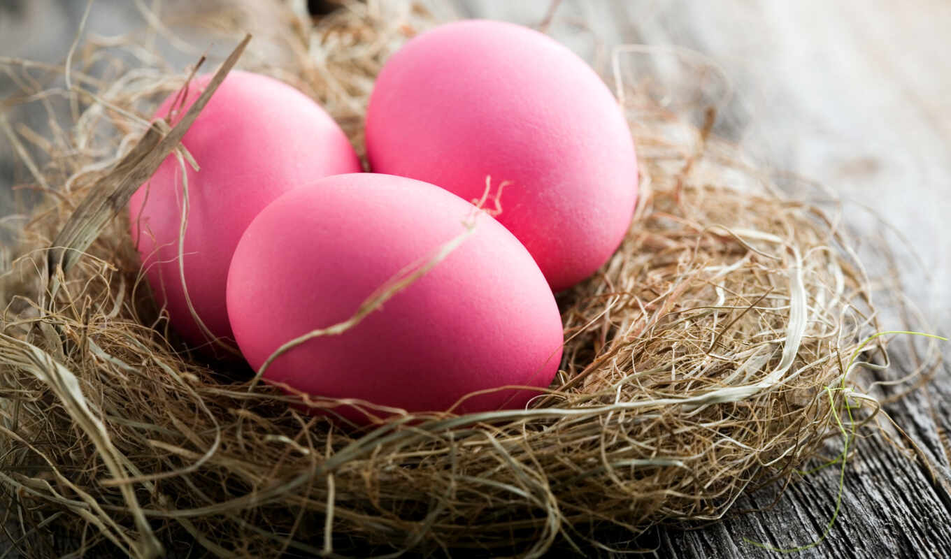 picture, pink, pink, color, holidays, easter, nest, east, pass, eggs