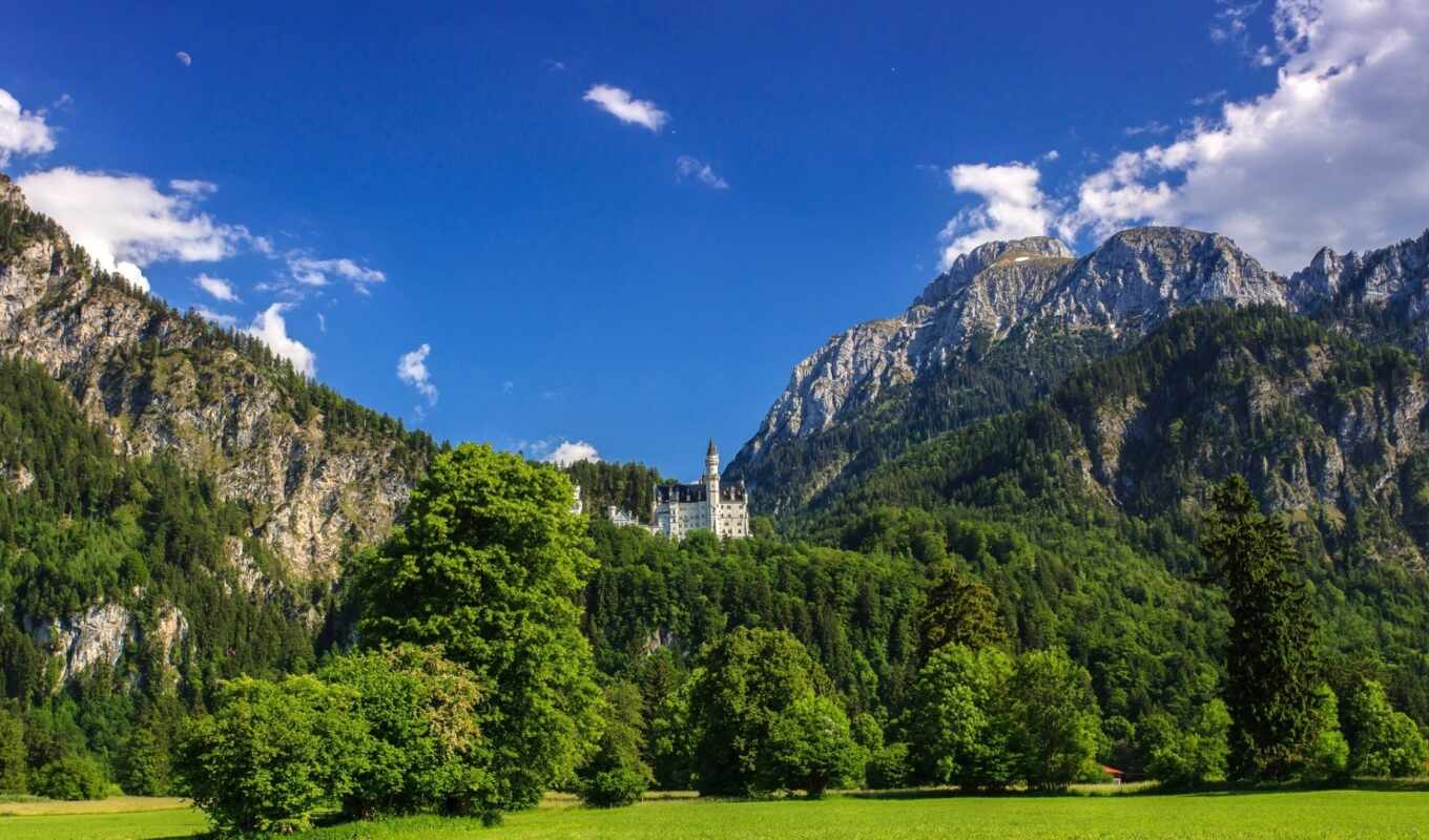 nature, forest, landscape, castle, german, neuschwanstein, bavaria, mountains, neuschwanstein