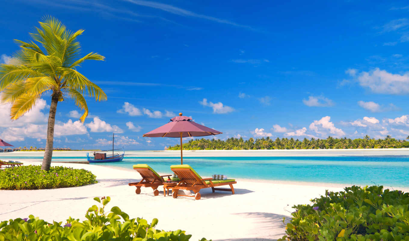 summer, beach, hotel, sea, island, rest, palm, maldives, tropic, vacation, shelter