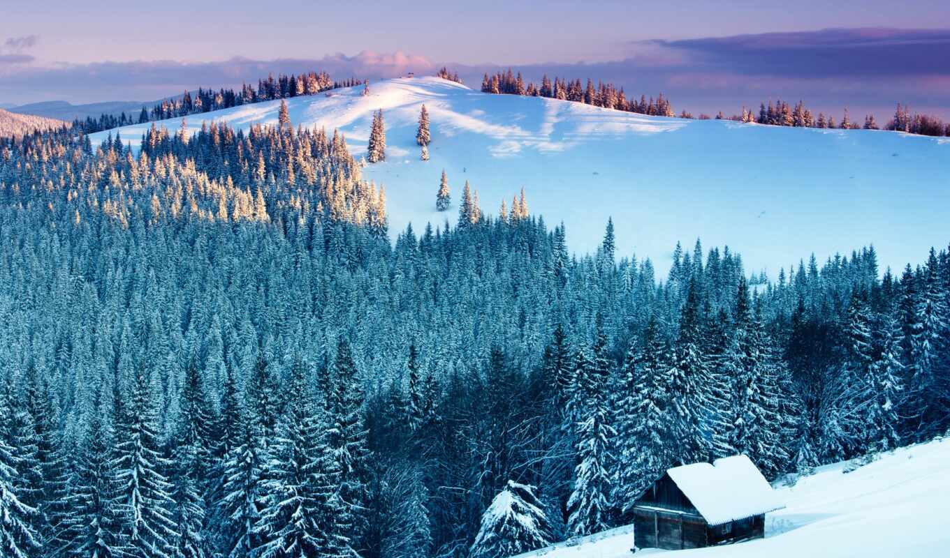 природа, красочные, дерево, снег, winter, лес, гора, landscape, natural, славский