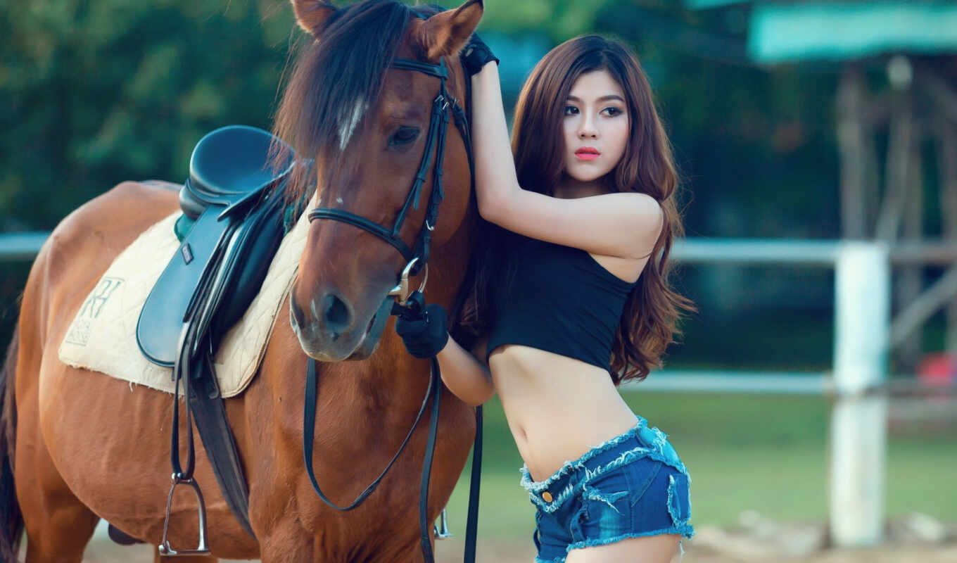 девушка, лошадь