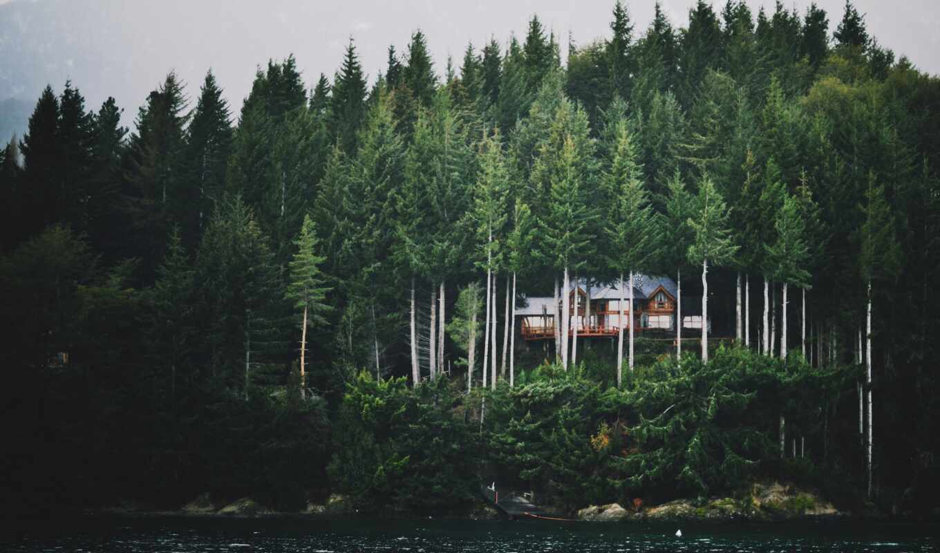 lake, there is, house, forest, mountain, fog