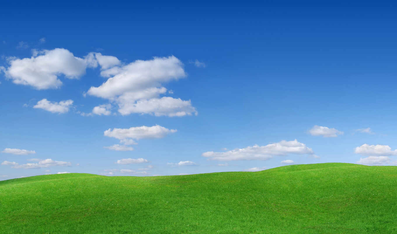 nature, sky, landscapes-, grass, cloud, hills, slopes, bugs