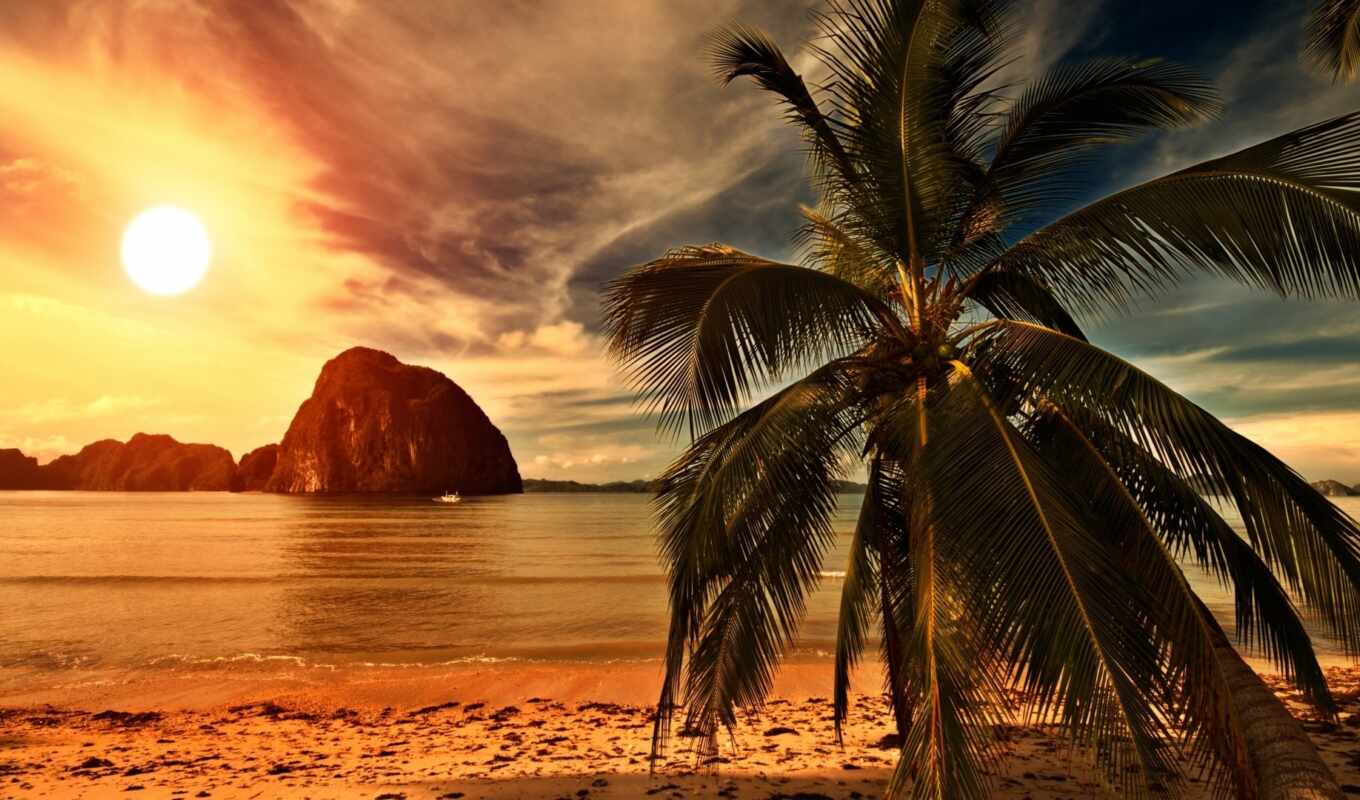 sun, закат, пляж, palm, oir