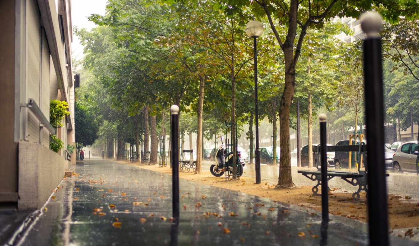 rain, city, street, sidewalk, France