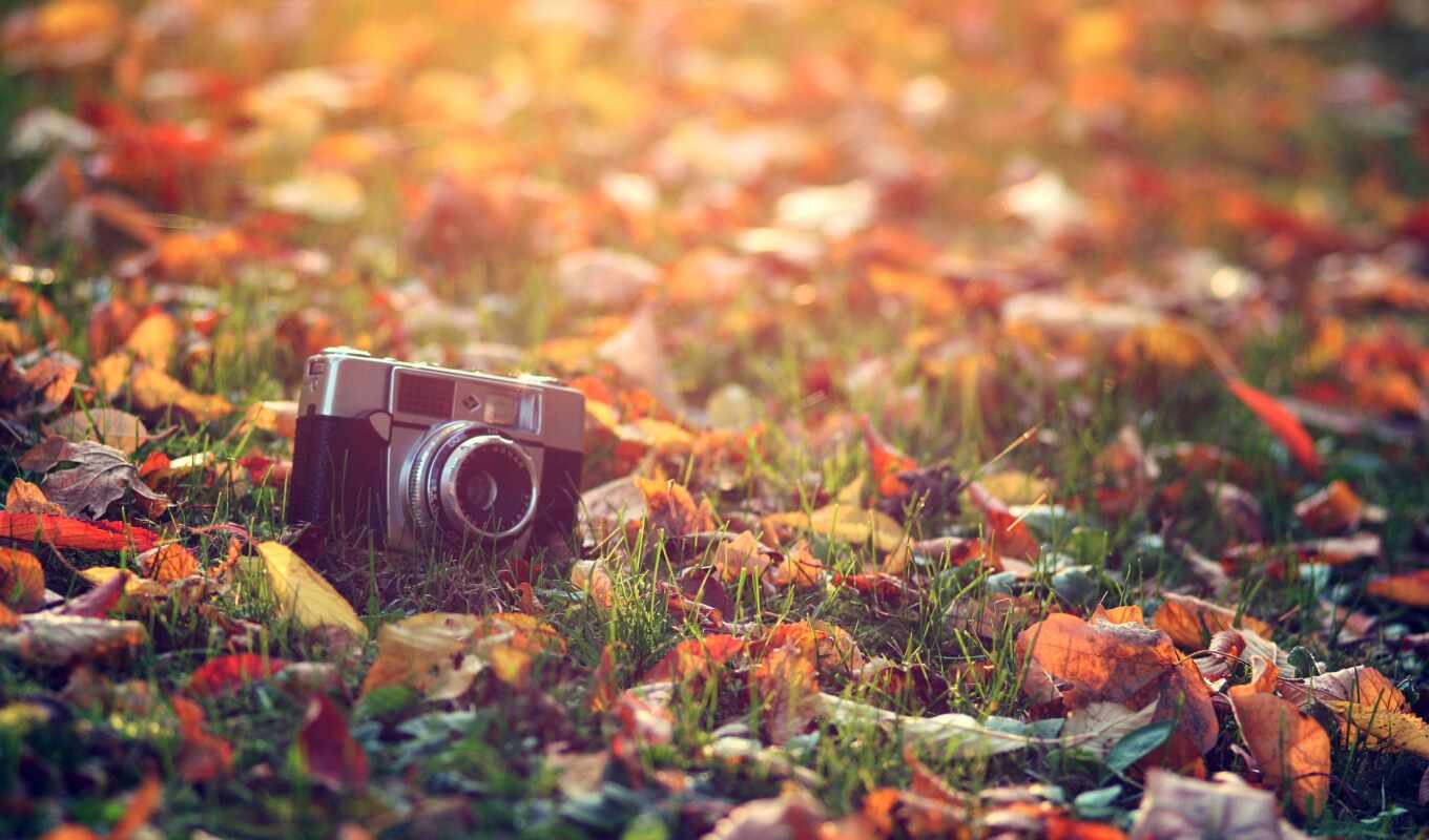 photo camera, view, retro, picture, sun, light, macro, grass, autumn, foliage, old