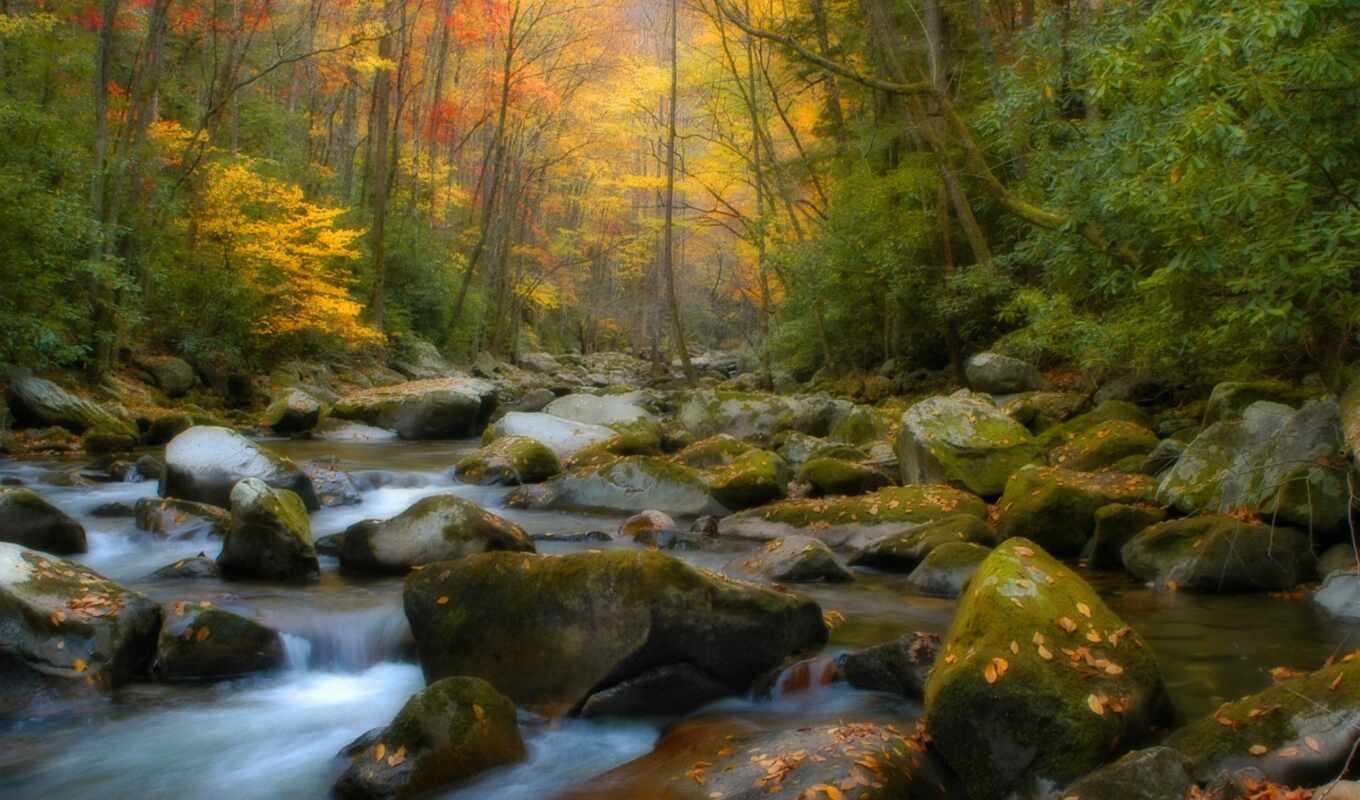 nature, best, beautiful, images, autumn, scenery, creek
