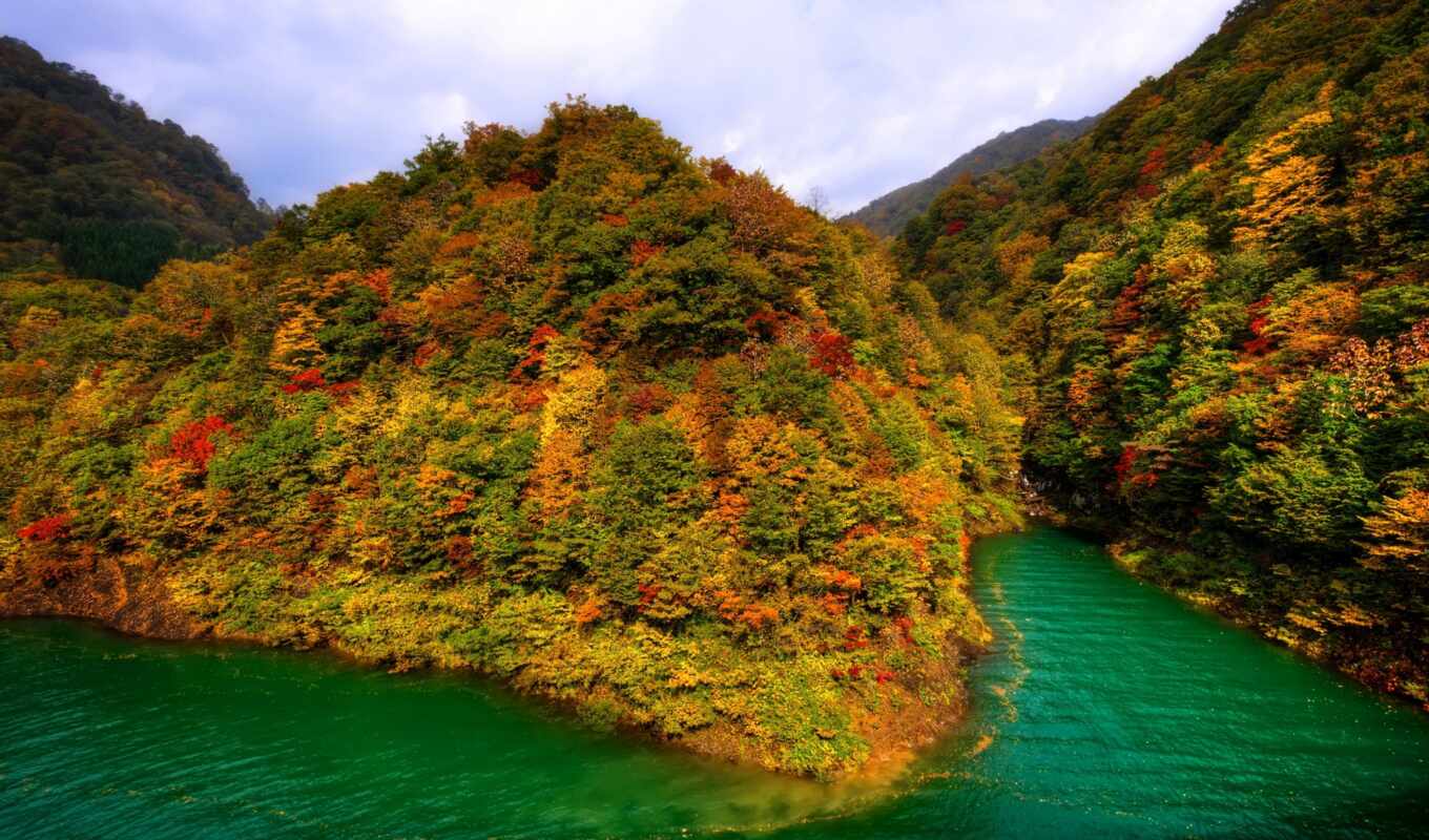 озеро, природа, лес, japanese, осень, trees, озера, горы, тазава, леса