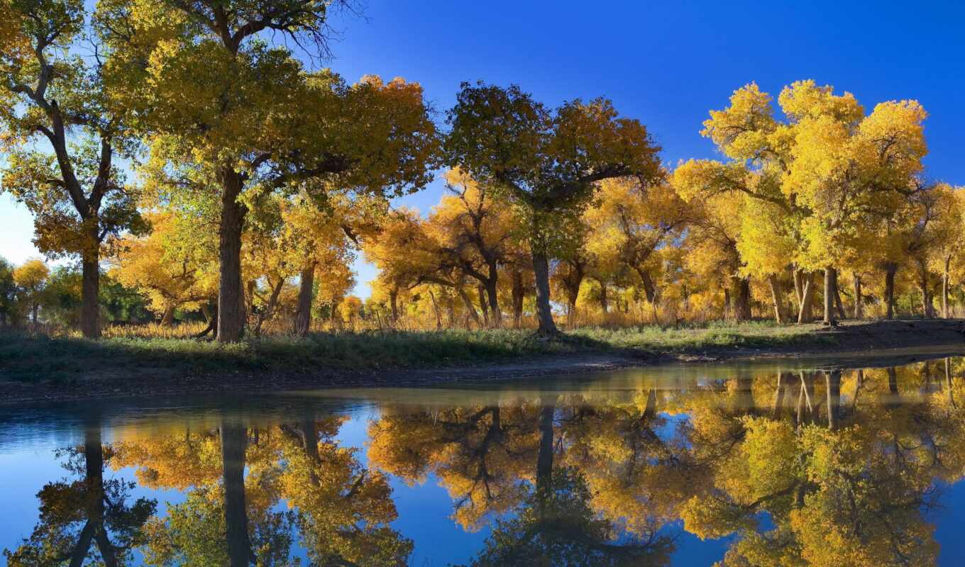 lake, nature, tree, water, landscape, autumn, river, reflection