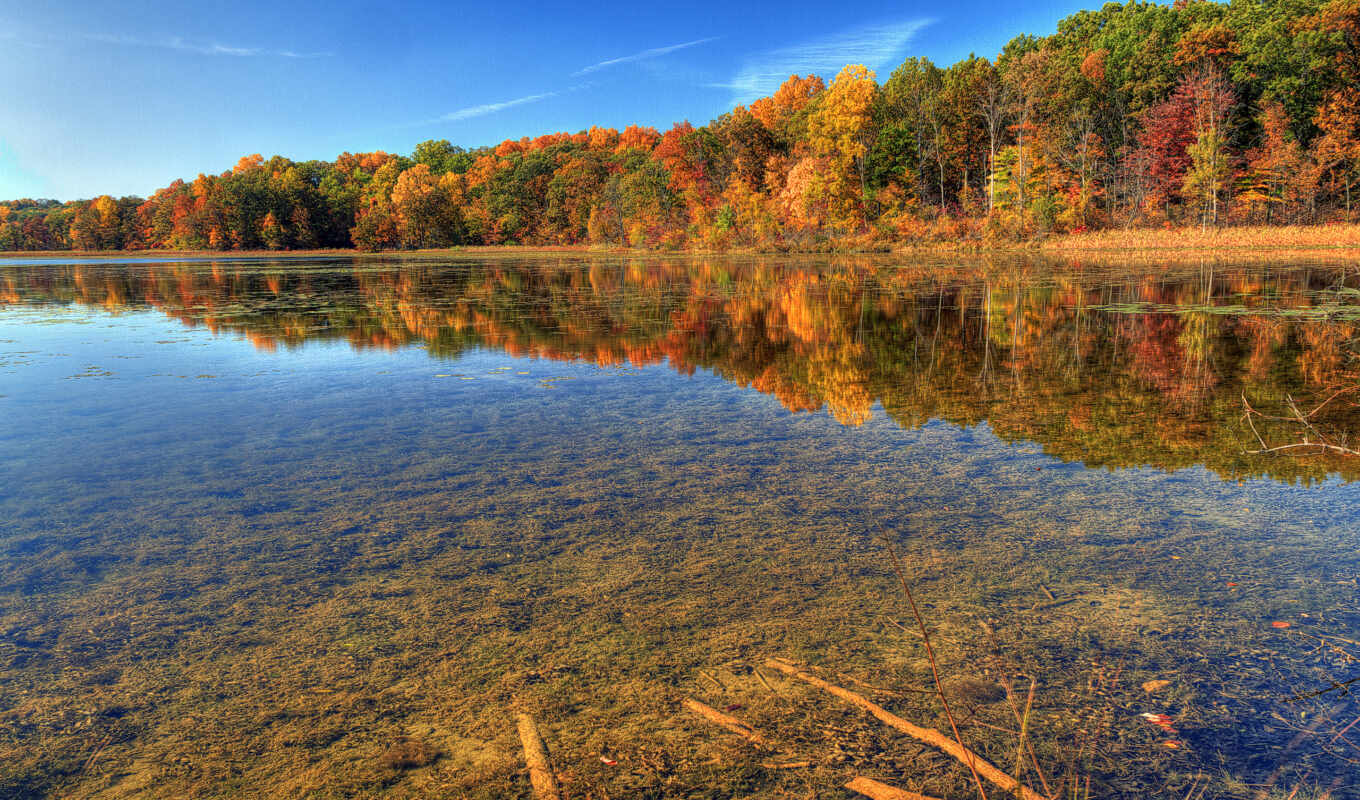 природа, лес, осень, река, фоны, прозрачность