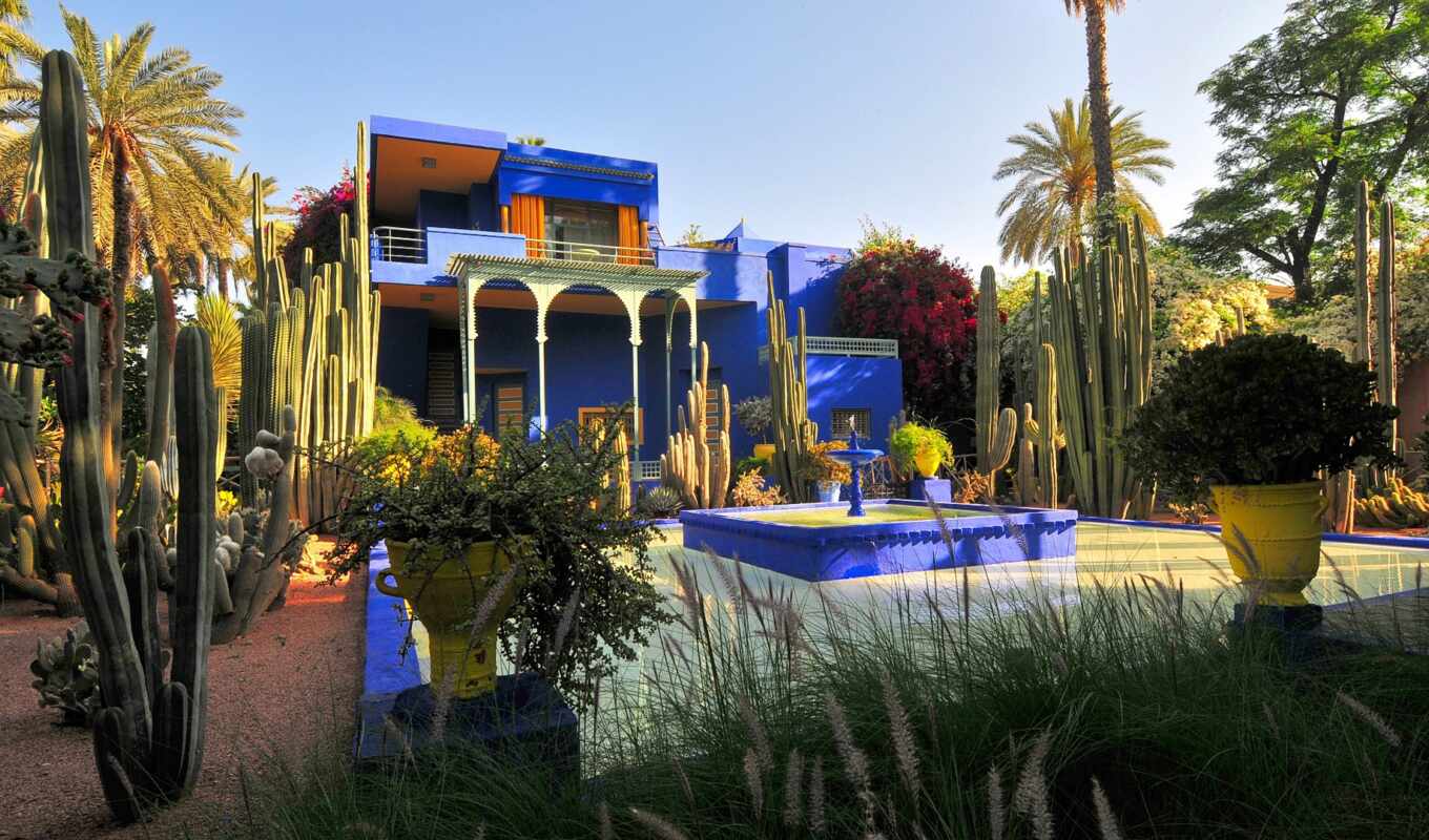 home, interior, garden, fond, creation, morocco, jardin, marrakech, majorelle, mazhorel, marrakesh