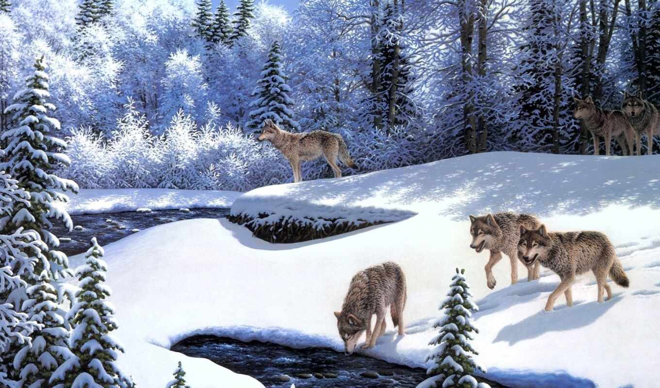 winter, forest, wolf