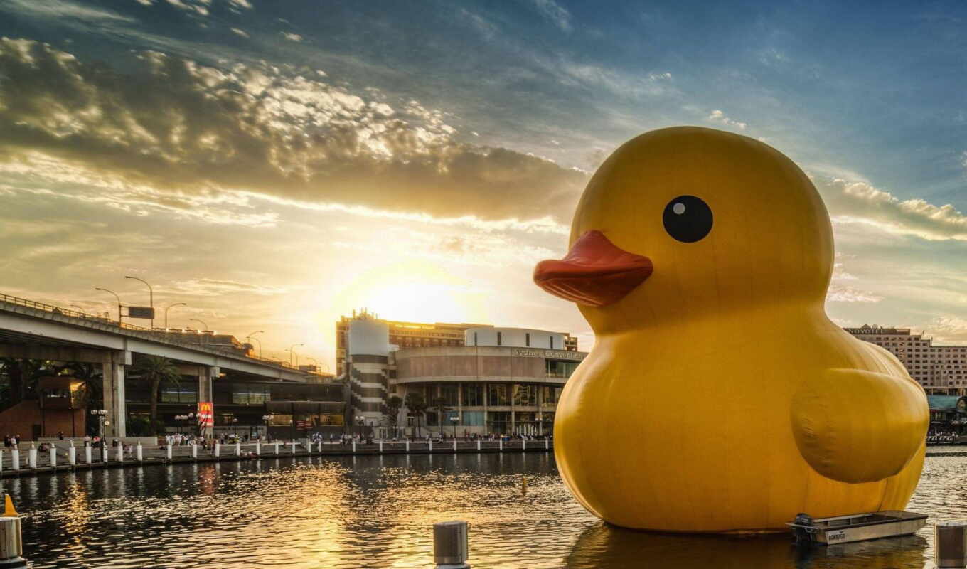 city, duck, the sun, river, giant, mother and son