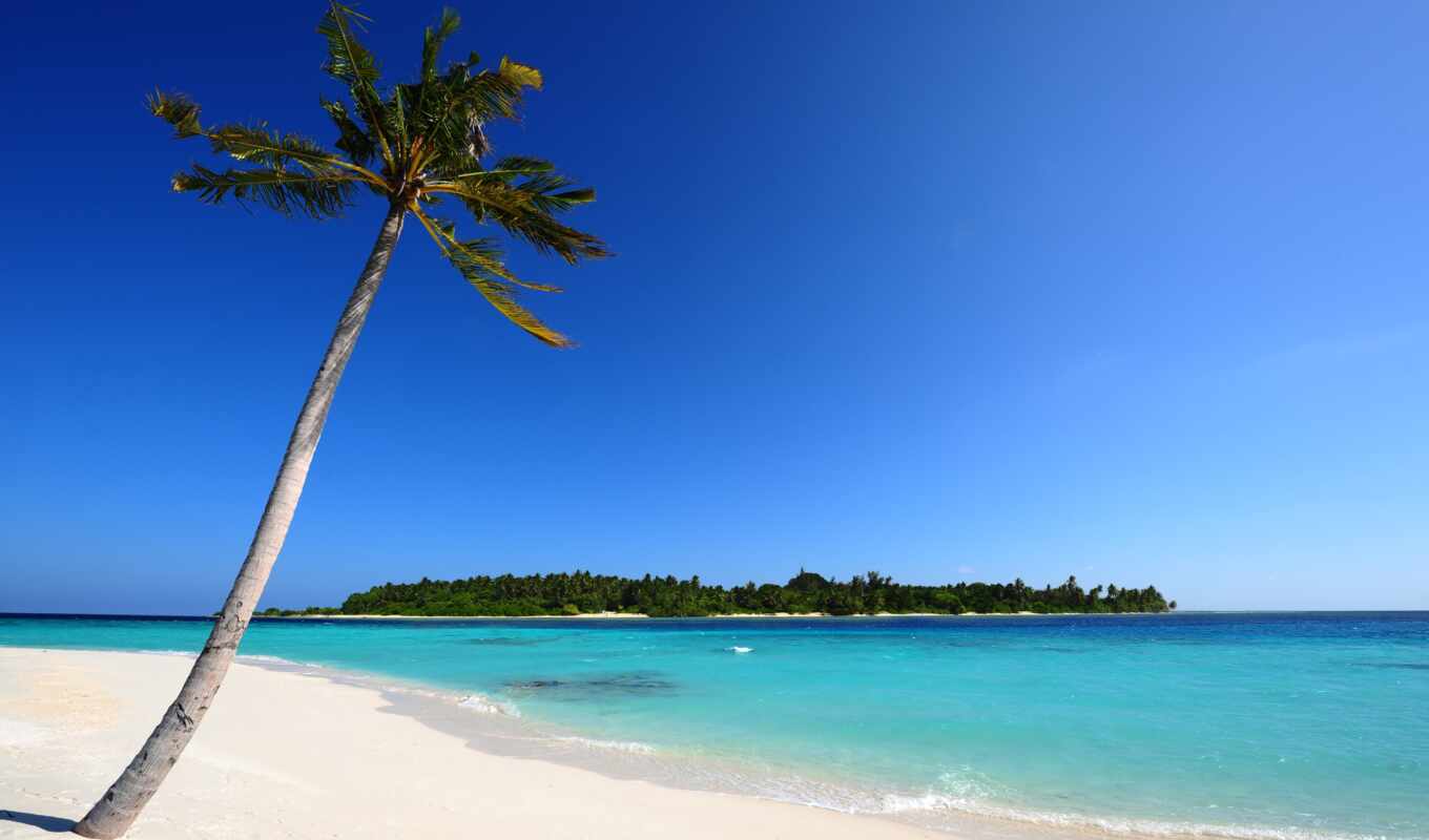 пляж, море, песок, очень, пальмы, остров, maldives