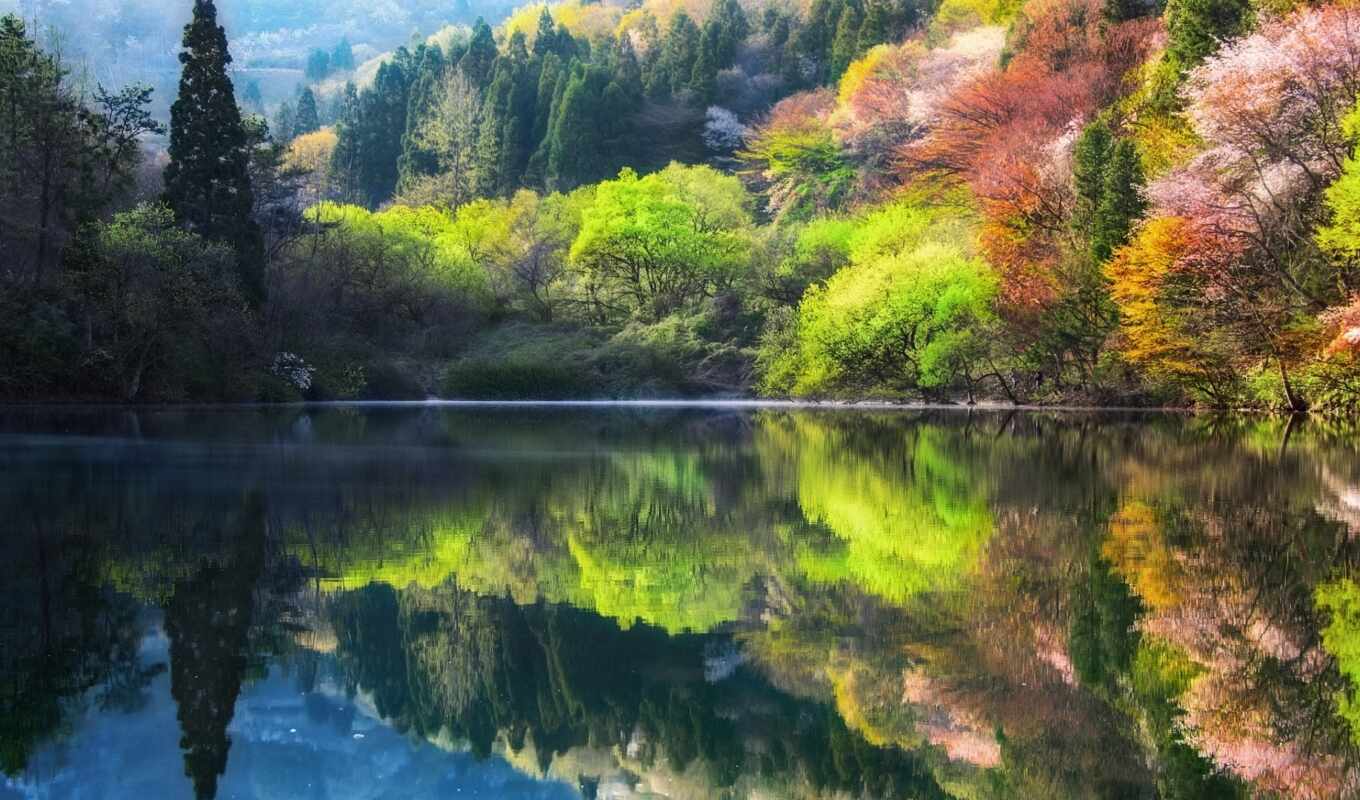 озеро, природа, красочные, дерево, landscape, korea, весна, восход, отражение, south, fore